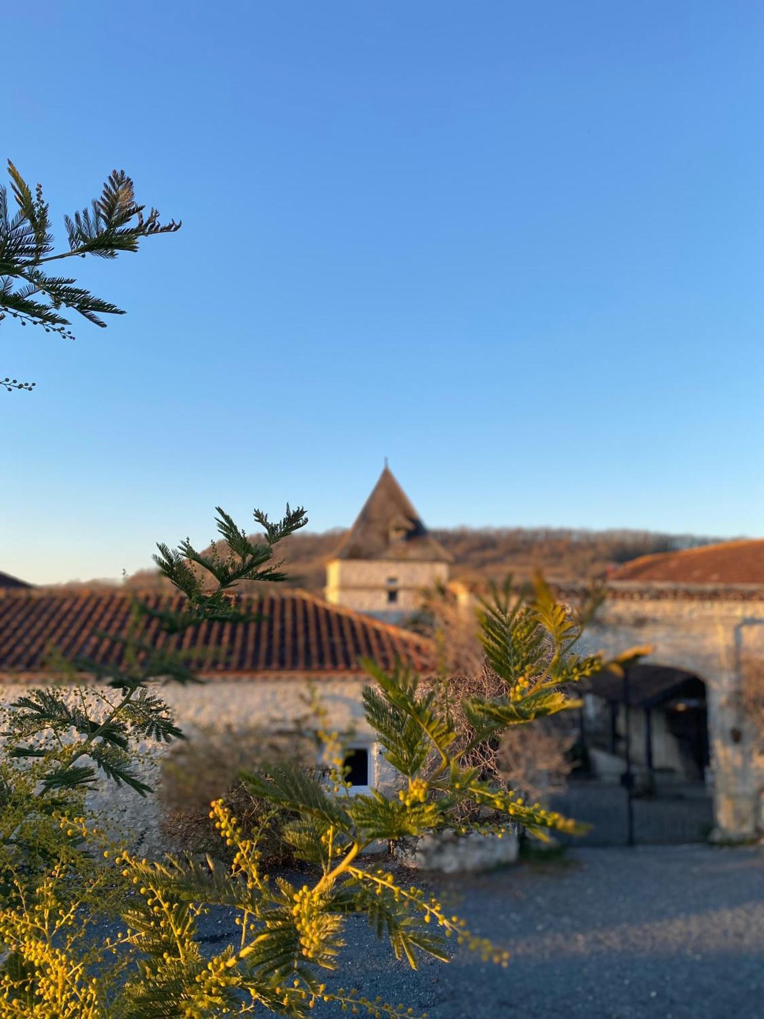 Hotel Domaine De Villot à Sainte-Colombe-de-Villeneuve Extérieur photo